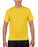  Gildan GD01 - SoftStyle T Shirt Wizard Printers 