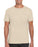  Gildan GD01 - SoftStyle T Shirt Wizard Printers 