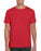  Gildan GD01 - SoftStyle T Shirt Wizard Printers 