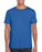  Gildan GD01 - SoftStyle T Shirt Wizard Printers 